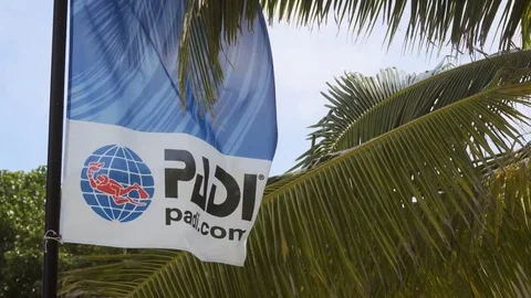 Flag with PADI logo flaps in a breeze beneath palm trees on Vaadhoo Island. Stock Footage 79607678