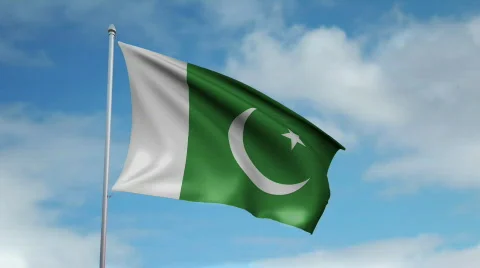 Flag of Pakistan 動画素材 445220