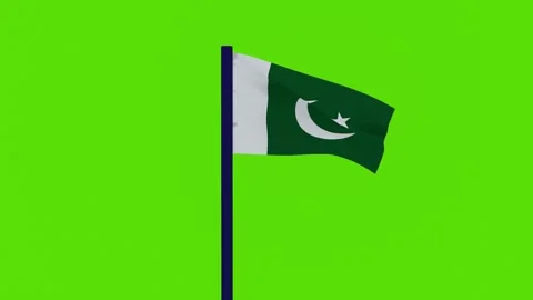 Flag of Pakistan 스톡 동영상 255419229