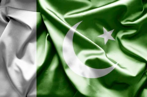 Flag of pakistan Illustrazione stock
