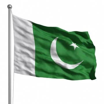 Flag of pakistan Stock Illustration