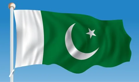 Flag of Pakistan Stock Illustration