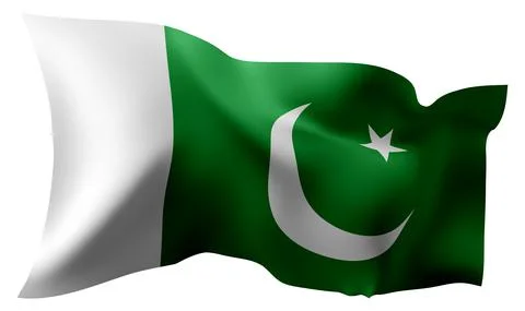 Flag of Pakistan waving in the wind. Stock Illustration
