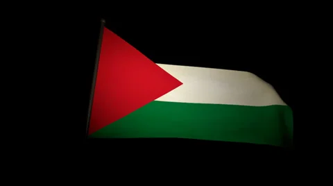 Flag Palestine 01 Stock Footage 30588500