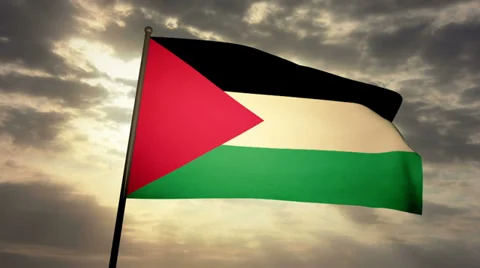 Flag Palestine 03 Stock Footage 30598005