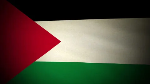Flag Palestine 04 Stock Footage 30598487
