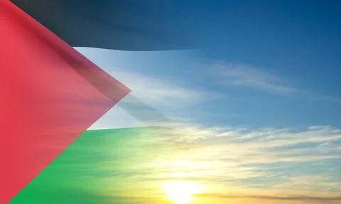 Flag of Palestine on background of sky Stock Illustration