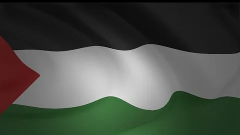 Flag Of Palestine Chile Animation Loop Collection Stock Footage 91280506