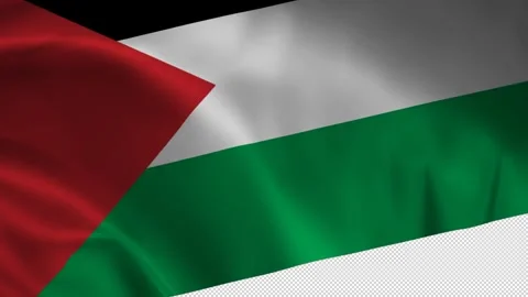 Flag of Palestine - Diagonal Glide - Transparent Background - 14461115AA Stock Footage 309055051