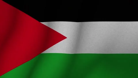 The flag of Palestine. The evolving 3d national flag of Palestine. 1080p HD Stock-Footage 272139819