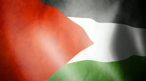 Flag of Palestine Vidéo 12428993