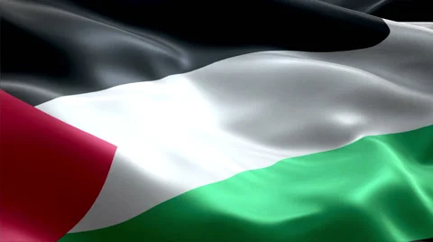 Flag Palestine Video stock 47761379