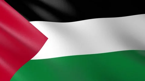 Flag of Palestine Stock Footage 151572437