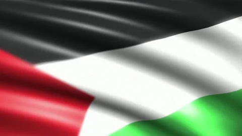 Flag palestine Video stock 160590587