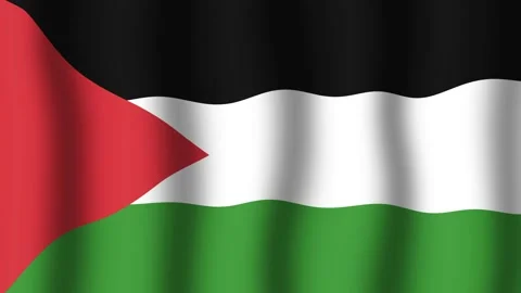 Flag of Palestine Stock Footage 175838674