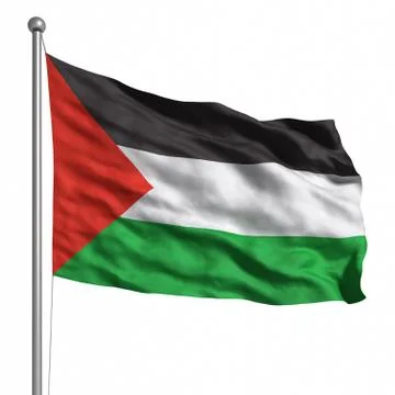 Flag of palestine. Stock Illustration