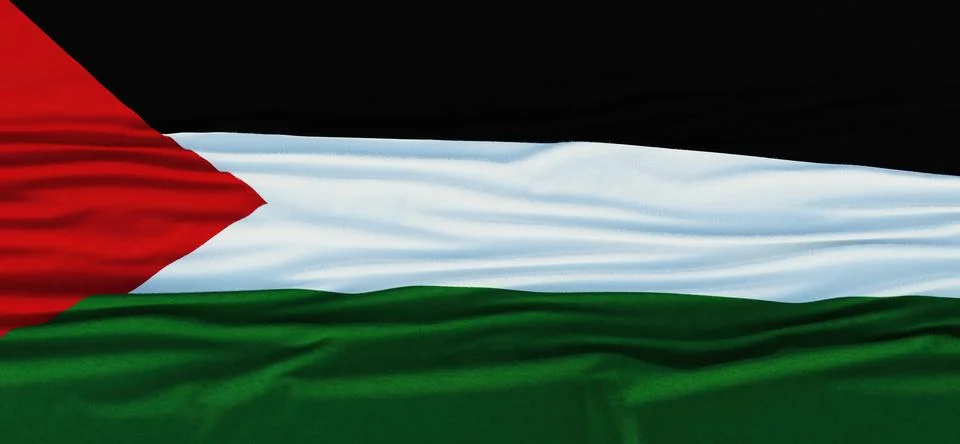 Flag of Palestine Stock Illustration