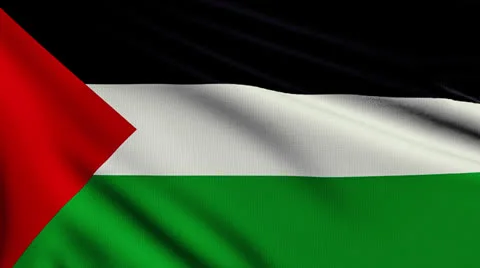 Flag of Palestine looping Stock Footage 25512093