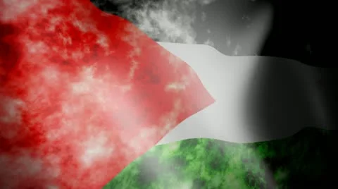 Flag of Palestine with Noise Vidéo 12428532