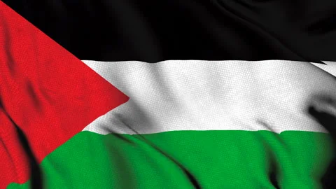 Flag of Palestine with red triangle and stripes Stock Footage 314677550