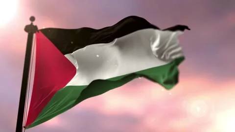Flag of Palestine Waving Stock Footage 276629543