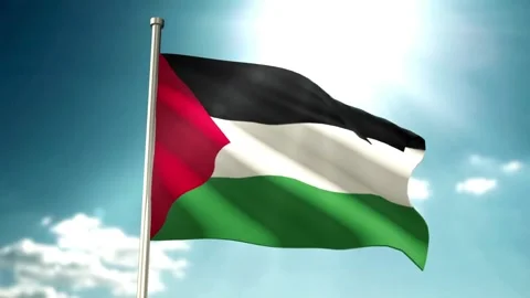 Flag of Palestine Waving Stock Footage 276629548
