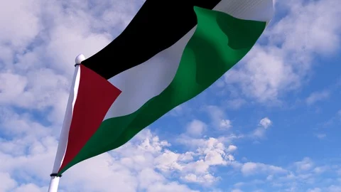 Flag of PALESTINE waving in the wind Stock Footage 89653629