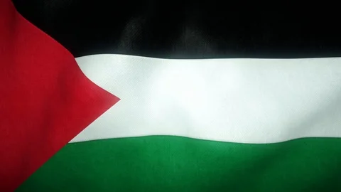 Flag of palestine waving in the wind Stock-Footage 125885353