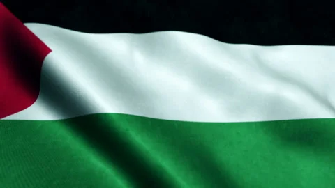 Flag of Palestine waving in the wind. Seamless looping. 3d generated. 스톡 동영상 229821584