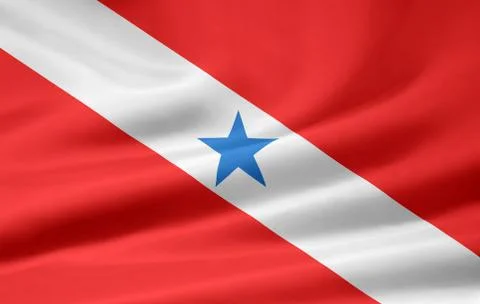 Flag of Para Stock Illustration