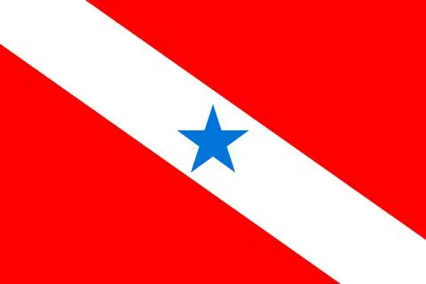 Flag of Para 스톡 일러스트