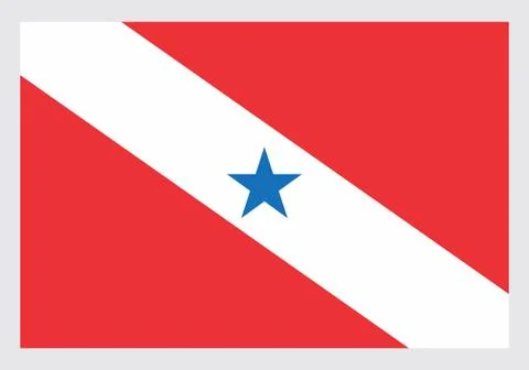 Flag of Para State Stock Illustration