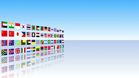 Flag Parade Side Move 2 Stock Footage 332457494