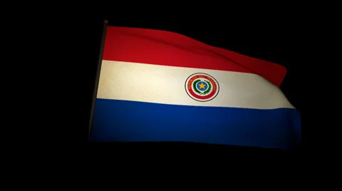 Flag Paraguay 01 Stock Footage 29248790