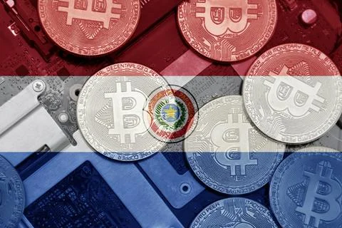 Flag of paraguay on the bitcoins with computer electronic circuit board backg Stock Photos