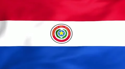 Flag Of Paraguay Video stock 11355761