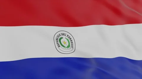 Flag of Paraguay Stock Footage 97128006