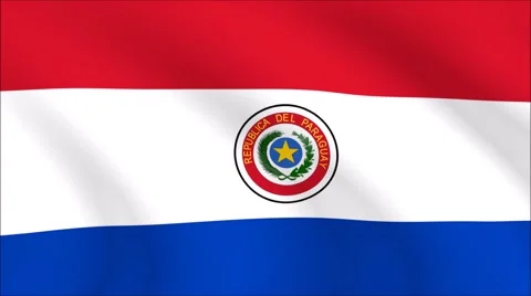 Flag of Paraguay with gold embossed Stock Footage 65147990
