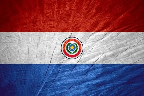 Flag of Paraguay 스톡 일러스트
