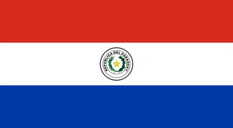 Flag of Paraguay Illustrazione stock