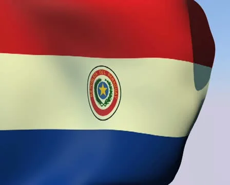 Flag of Paraguay PAL 스톡 동영상 14708975