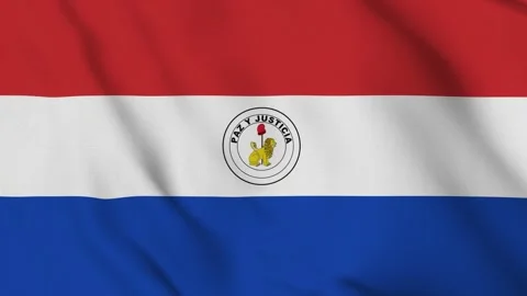 Flag of Paraguay (Reverse) – 4K Seamless Loop of the Republics National Emblem Stock Footage 310870220