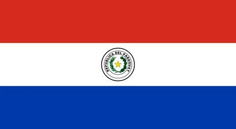 Flag of Paraguay - Vector illustration. Illustrazione stock