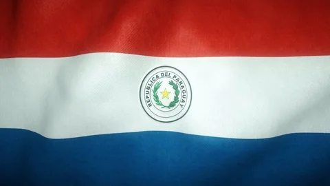 Flag of paraguay waving in the wind Stock-Footage 125830467
