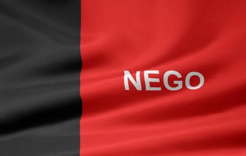 Flag of Paraiba Stock Illustration