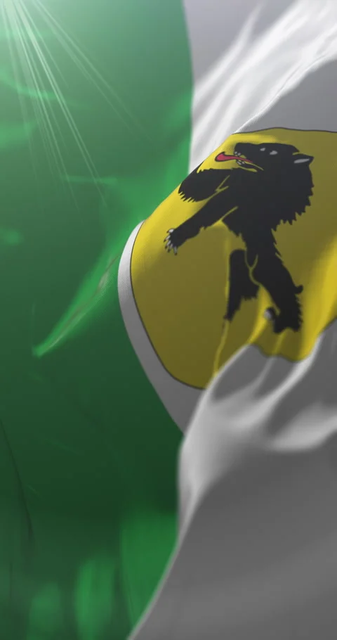 Flag of Parnu County, Estonia. Loop. 4K Vertical Video stock 316585484