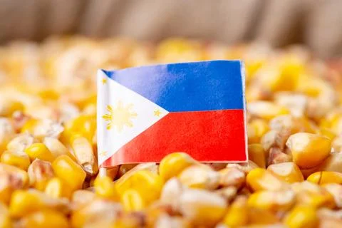 Flag of Philippines on corn grain Stock Photos