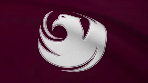 Flag of Phoenix City Loop Stock Footage 241161885