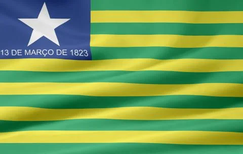 Flag of Piaui Stock Illustration