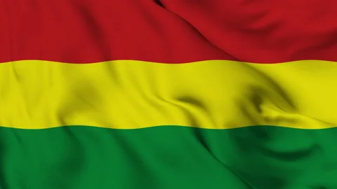 Flag of the Plurinational State of Bolivia fluttering in the wind Stock Footage 139934443